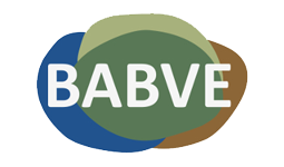 BABVE