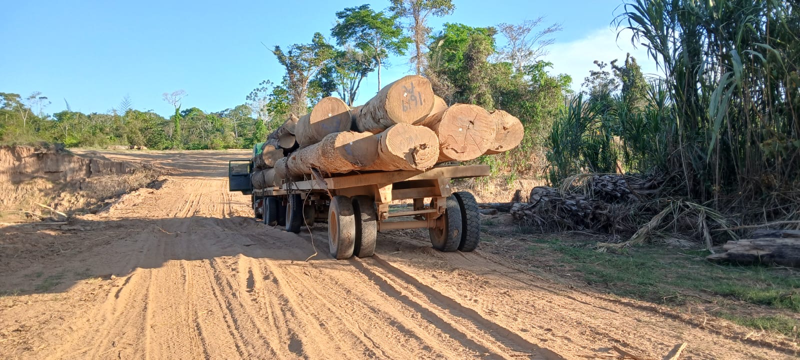 Truck transporting logs for logging companies operating around the Tsimane' communities in the area of Ixiamas